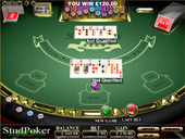 Casino770  Stud Poker